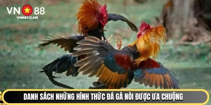 Danh sách những hình thức đá gà nòi được ưa chuộng