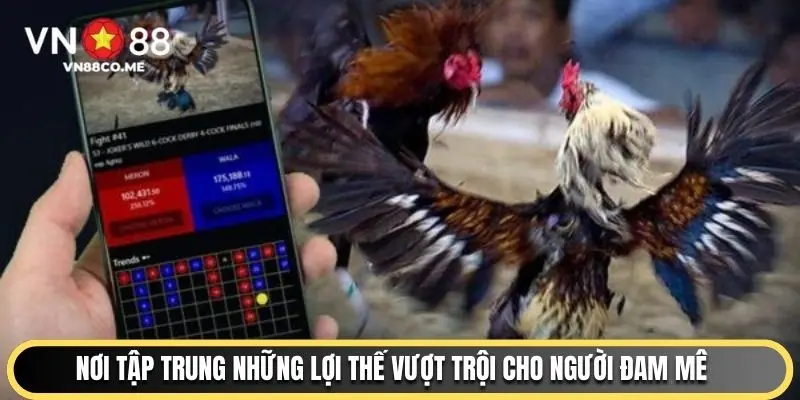 Nơi tập trung những lợi thế vượt trội cho người đam mê