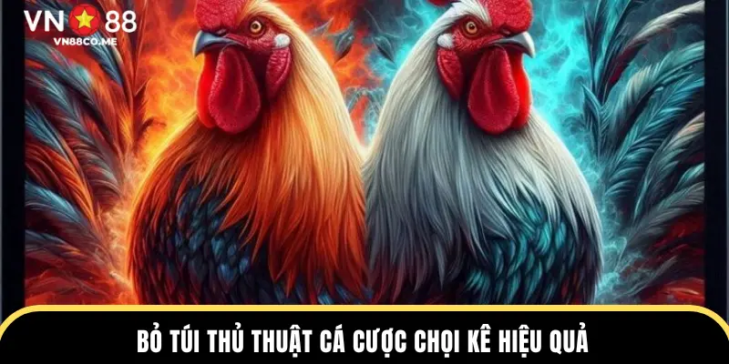 Bỏ túi thủ thuật cá cược chọi kê hiệu quả