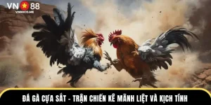 đá gà cựa sắt ảnh đại diện