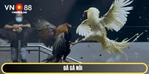 đá gà nòi vn88 ảnh đại diện