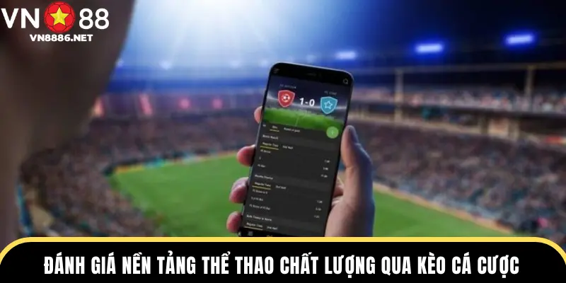 Đánh giá nền tảng thể thao chất lượng qua kèo cá cược