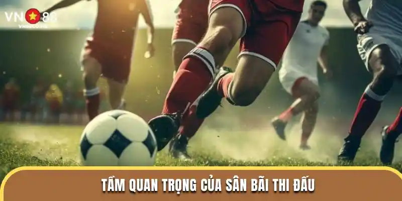 Tầm quan trọng của sân bãi thi đấu