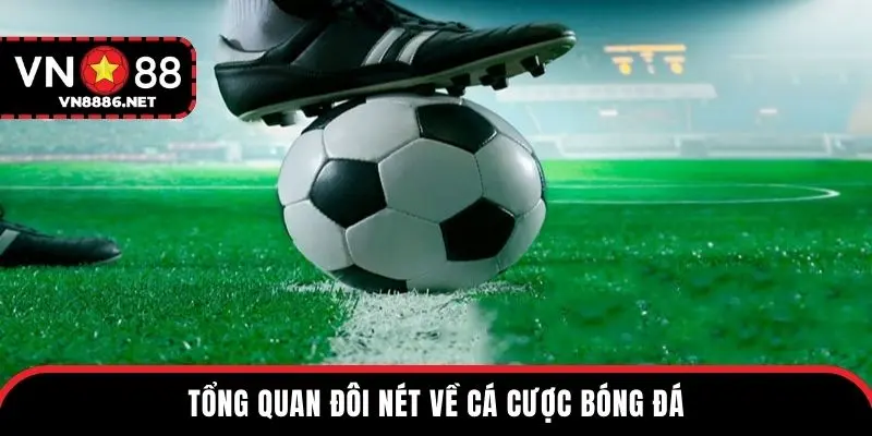 Tổng quan đôi nét về cá cược bóng đá